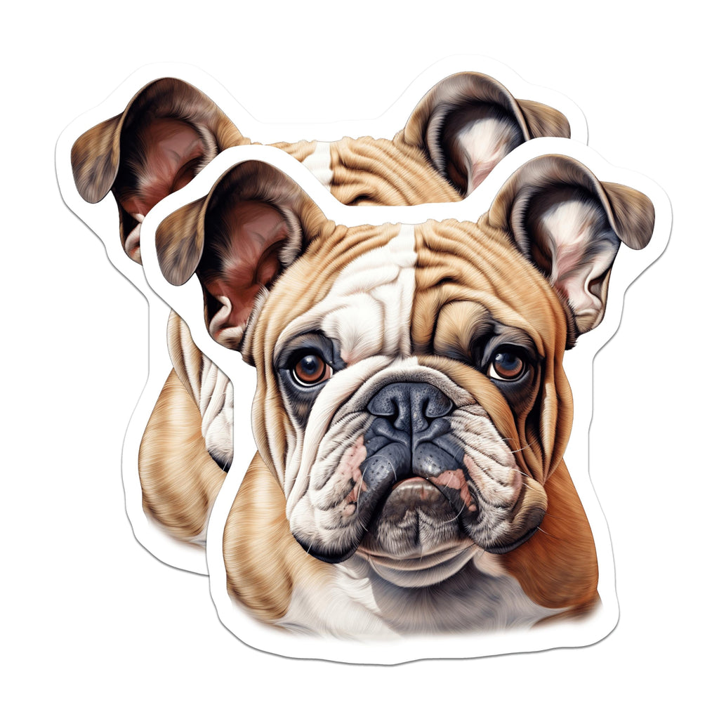 (2 Pack) Bulldog Magnets - English Bulldog Art - Pet Lover Home Decor - 5 Inches On Longest Side - Thick Durable Magnet - Made in USA - MAG24323