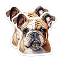 (2 Pack) Bulldog Magnets - English Bulldog Art - Pet Lover Home Decor - 5 Inches On Longest Side - Thick Durable Magnet - Made in USA - MAG24323