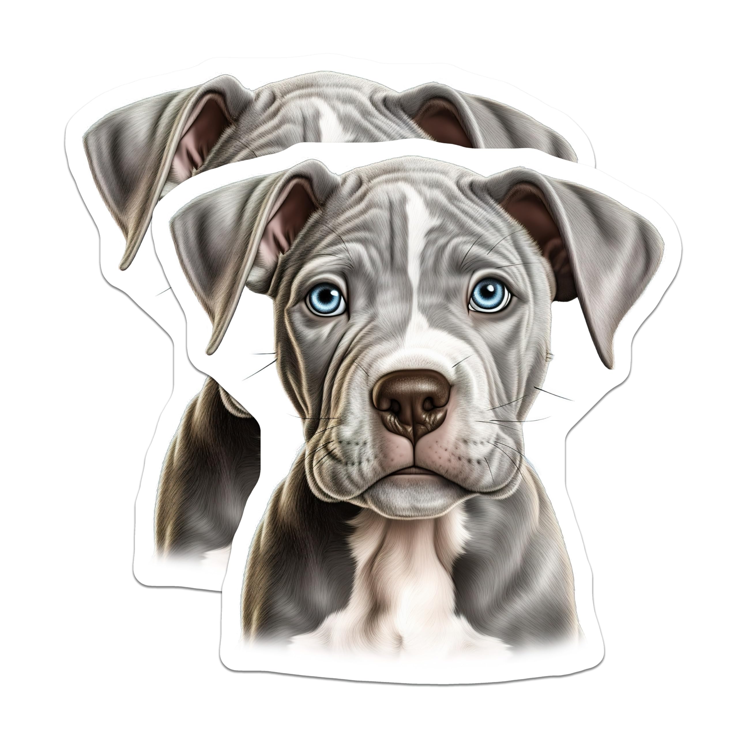 (2 Pack) Pitbull Puppy Magnets - Blue Eyed Dog Lover Decor - Pet Mom Car Fridge Magnet - 5 Inches On Longest Side - Thick Durable Magnet - Made in USA - MAG30846