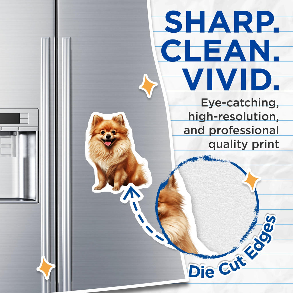 (2 Pack) Pomeranian Dog Magnets - Happy Fluffy Pet Decor - Cute Animal Fridge Locker Accessory - 5 Inches On Longest Side - Thick Durable Magnet - Made in USA - MAG28935