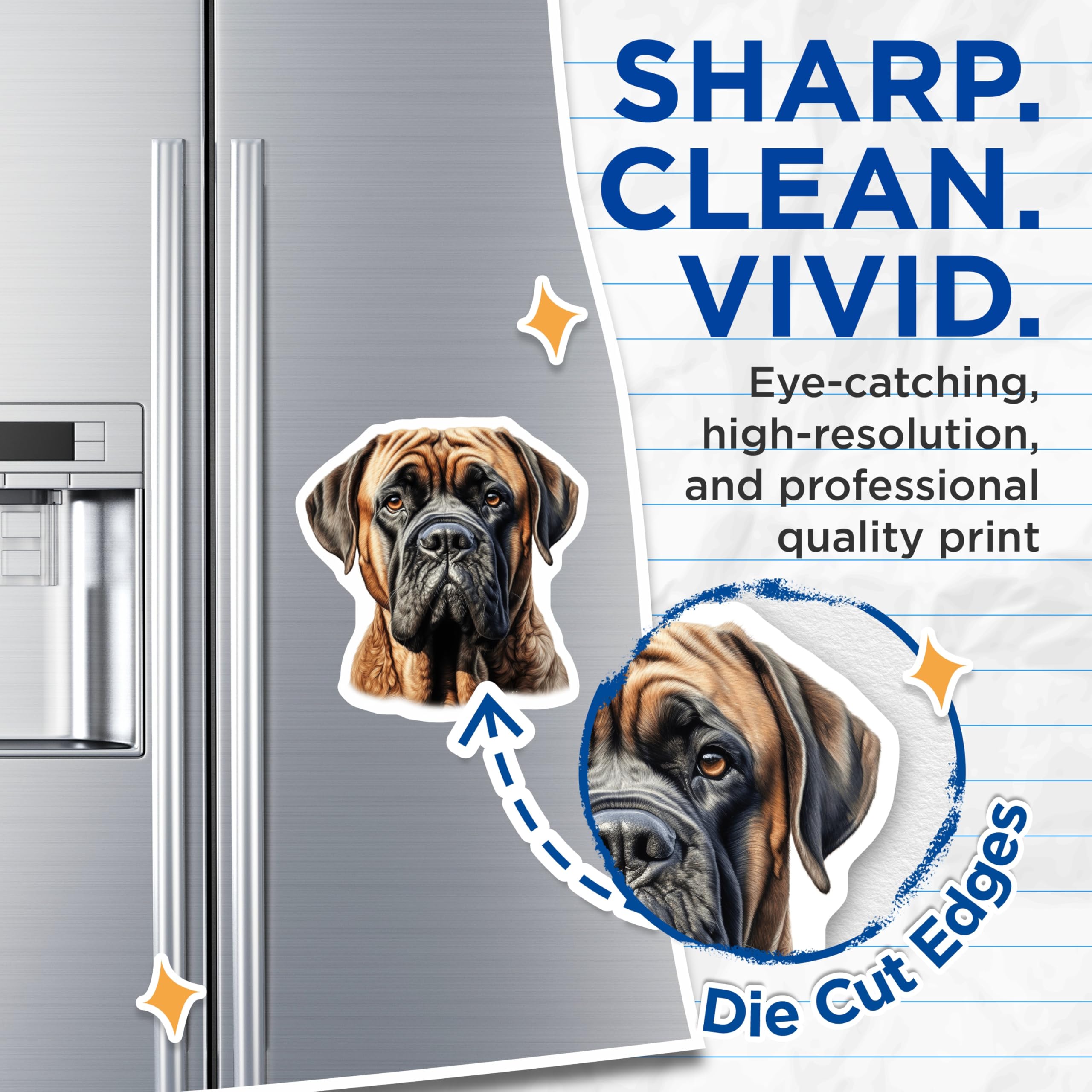 (2 Pack) Bullmastiff Dog Magnets - Pet Lover Refrigerator Decor - Canine Breed Locker Display - 5 Inches On Longest Side - Thick Durable Magnet - Made in USA - MAG25509