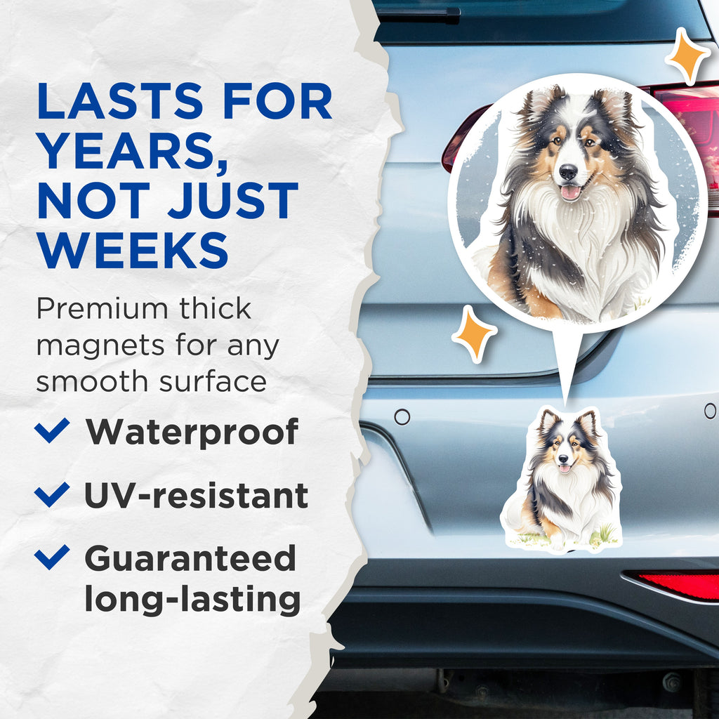 (2 Pack) Sheltie Dog Magnets - Shetland Sheepdog Owner - Watercolor Animal Art Decor - 5 Inches On Longest Side - Thick Durable Magnet - Made in USA - MAG38728