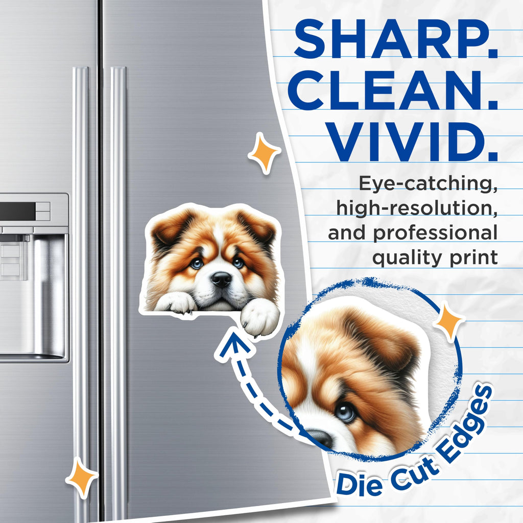 (2 Pack) Cute Dog Magnets - Chow Chow Style Puppy - Refrigerator Magnets - 5" On Longest Side - Premium Magnet - for Cars, Refrigerators, Toolboxes, Lockers - Made in USA - MAG14894