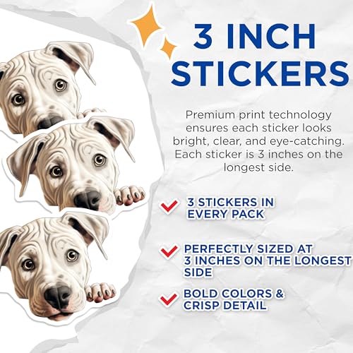 (3 Pack) American Bulldog Decals - Cute Dog Stickers - Laptop Decal - 3 Inches On Longest Side - Easy Peel & Apply - Made in USA - 3MCS8732