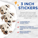 (3 Pack) American Bulldog Decals - Cute Dog Stickers - Laptop Decal - 3 Inches On Longest Side - Easy Peel & Apply - Made in USA - 3MCS8732