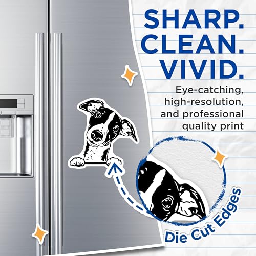 (2 Pack) Whimsical Dog Magnets - Animal Lover - Cute Pet - 5" On Longest Side - for Cars, Fridges, Toolboxes - Made in USA - MAG4042