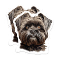 (2 Pack) Brussels Griffon Dog Magnets - Cute Pet Portrait Art - Animal Lover Fridge Decor - Pet Parent Kitchen Accessories - 5 Inches On Longest Side - Thick Durable Magnet - Made in USA - MAG30958