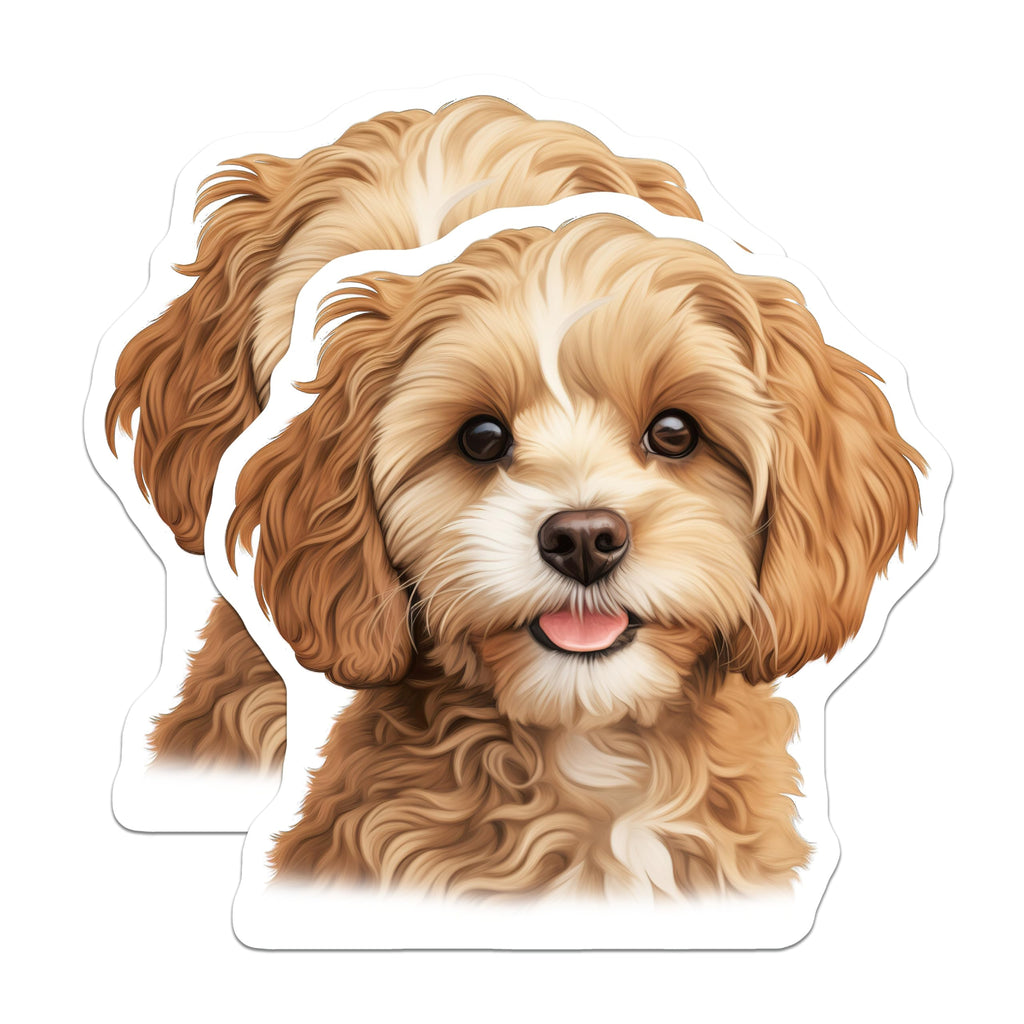 (2 Pack) Adorable Cavapoo Puppy Magnets - Goldendoodle Dog Lover Decor - Cute Happy Pet Animal Fridge Locker Art - 5 Inches On Longest Side - Thick Durable Magnet - Made in USA - MAG23582
