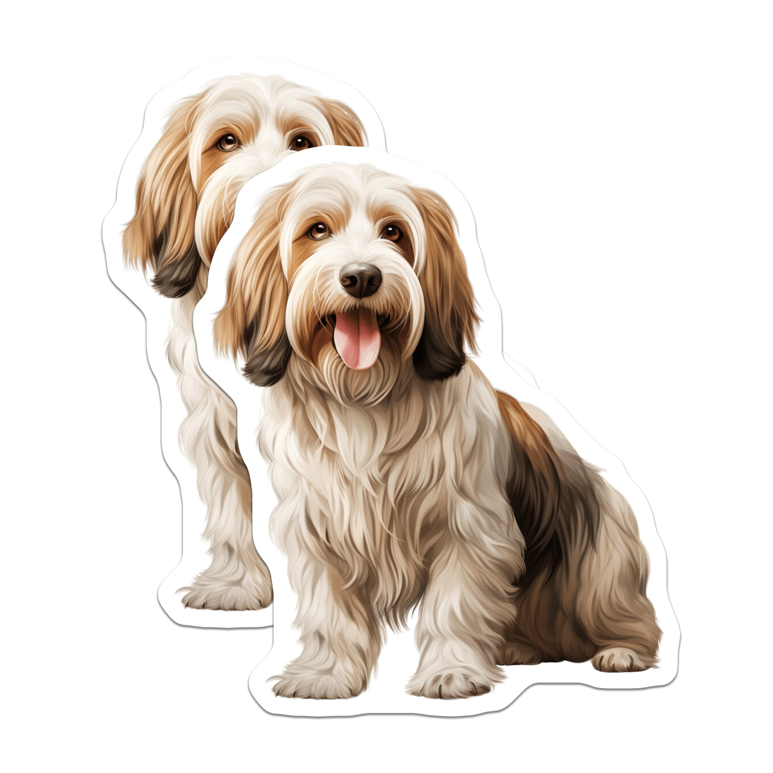 (2 Pack) Havanese Dog Magnets - Cute Pet Lover Art - Refrigerator Locker Decor - 5 Inches On Longest Side - Thick Durable Magnet - Made in USA - MAG30826