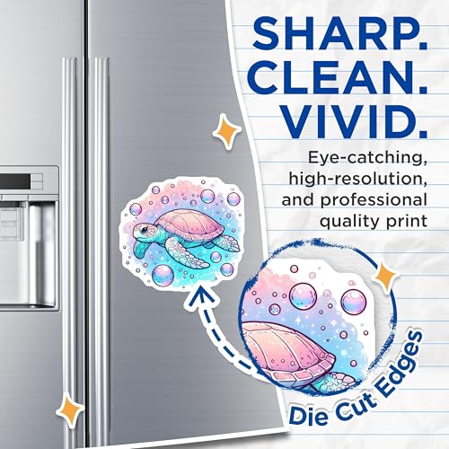 (2 Pack) Cute Marine Life Decor Magnet - 5" On Longest Side - Sticks to Smooth Flat Surfaces - Made in USA - MAG10096