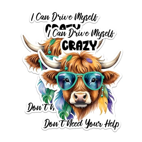 (2 Pack) Funny Cow Stickers - Humorous Farm Animal Stickers - Crazy Cow Decal - 5" On Longest Side - Sticks to Any Smooth Flat Surface - Made in USA - BMCS2933