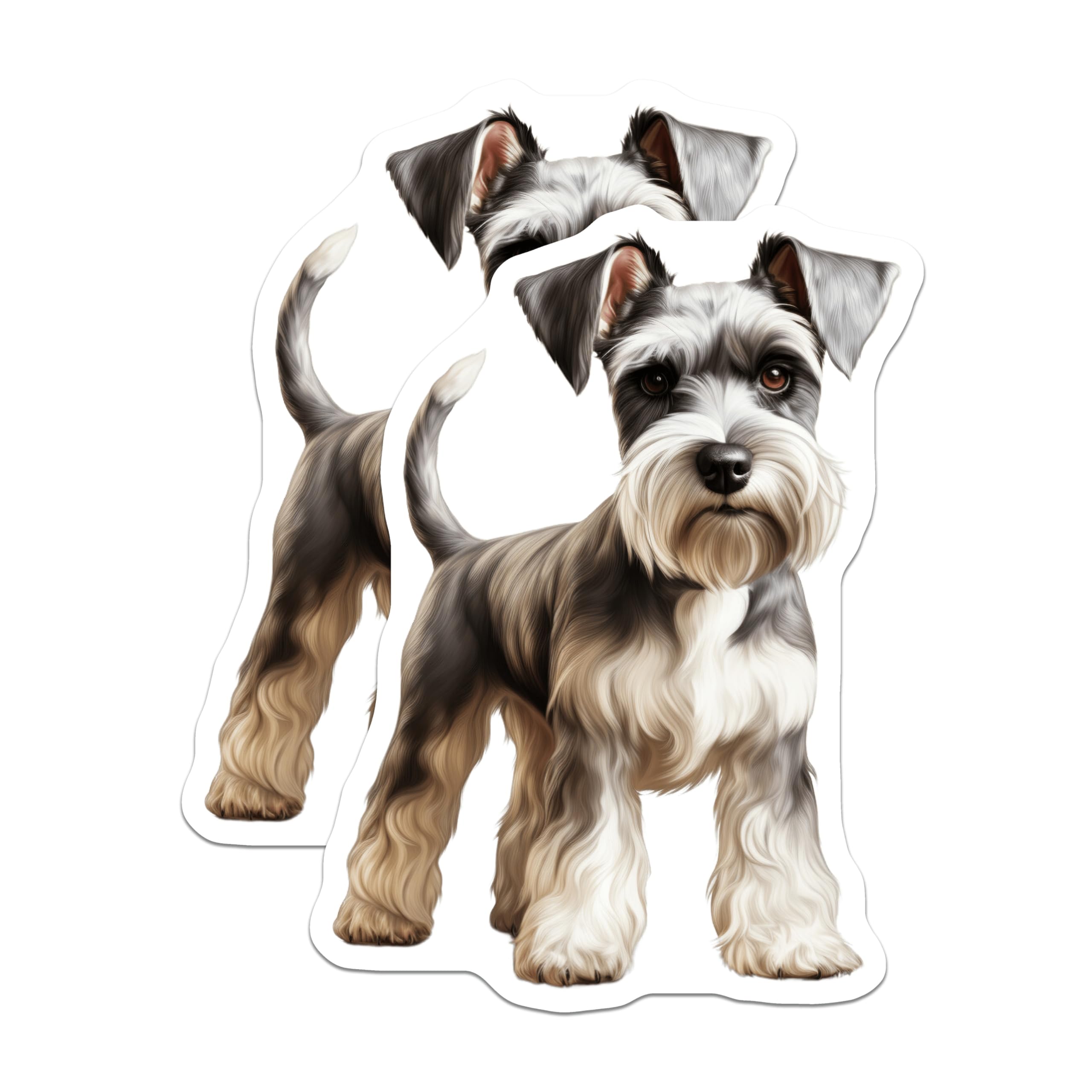 (2 Pack) Mini Schnauzer Magnets - Dog Lover Decor - Pet Portrait Fridge Accent - Animal Art Display - 5 Inches On Longest Side - Thick Durable Magnet - Made in USA - MAG29804