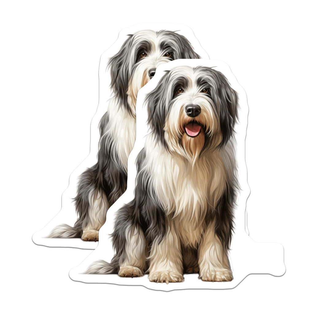 (2 Pack) Bearded Collie Dog Magnets - Shaggy Dog Breed Art - Pet Lover Refrigerator Decor - Cute Animal Fridge - 5 Inches On Longest Side - Thick Durable Magnet - Made in USA - MAG29951