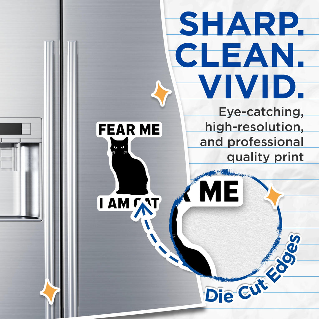 (2 Pack) Black Cat Magnets - Funny Cat Meme - Cat Lover Refrigerator Magnets - 5" On Longest Side - Premium Magnet - for Cars, Refrigerators, Toolboxes, Lockers - Made in USA - MAG15186