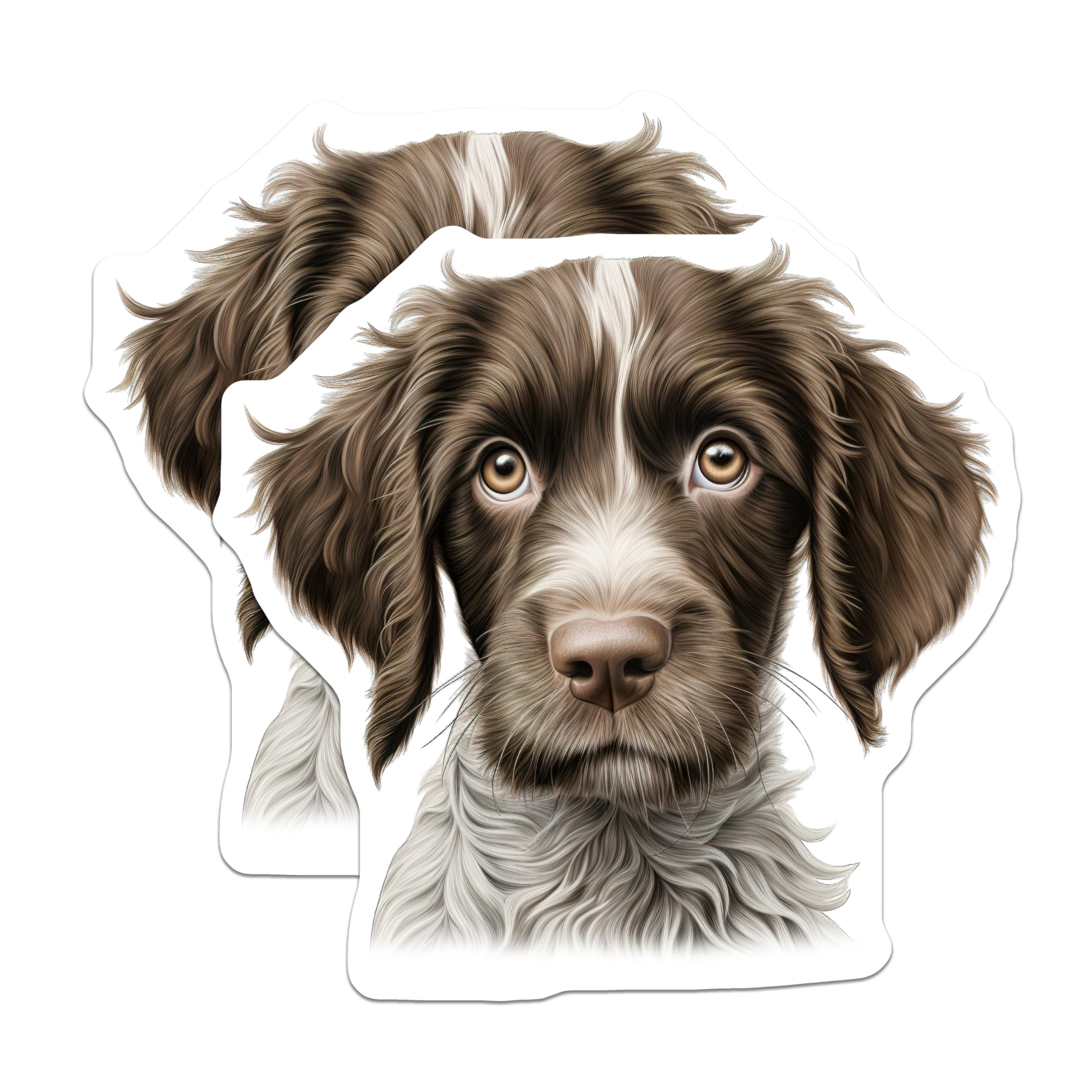 (2 Pack) Wirehaired Dog Magnets - Adorable Puppy Pet Lover Home Decor - Scruffy Brown White Dog Refrigerator Magnets - 5 Inches On Longest Side - Thick Durable Magnet - Made in USA - MAG23675