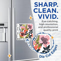 (2 Pack) Find The Beauty in Every Day Magnets - Floral Magnets - Inspirational Ative Magnets - 5" On Longest Side - for Cars, Fridges, Toolboxes - Made in USA - MAG3866