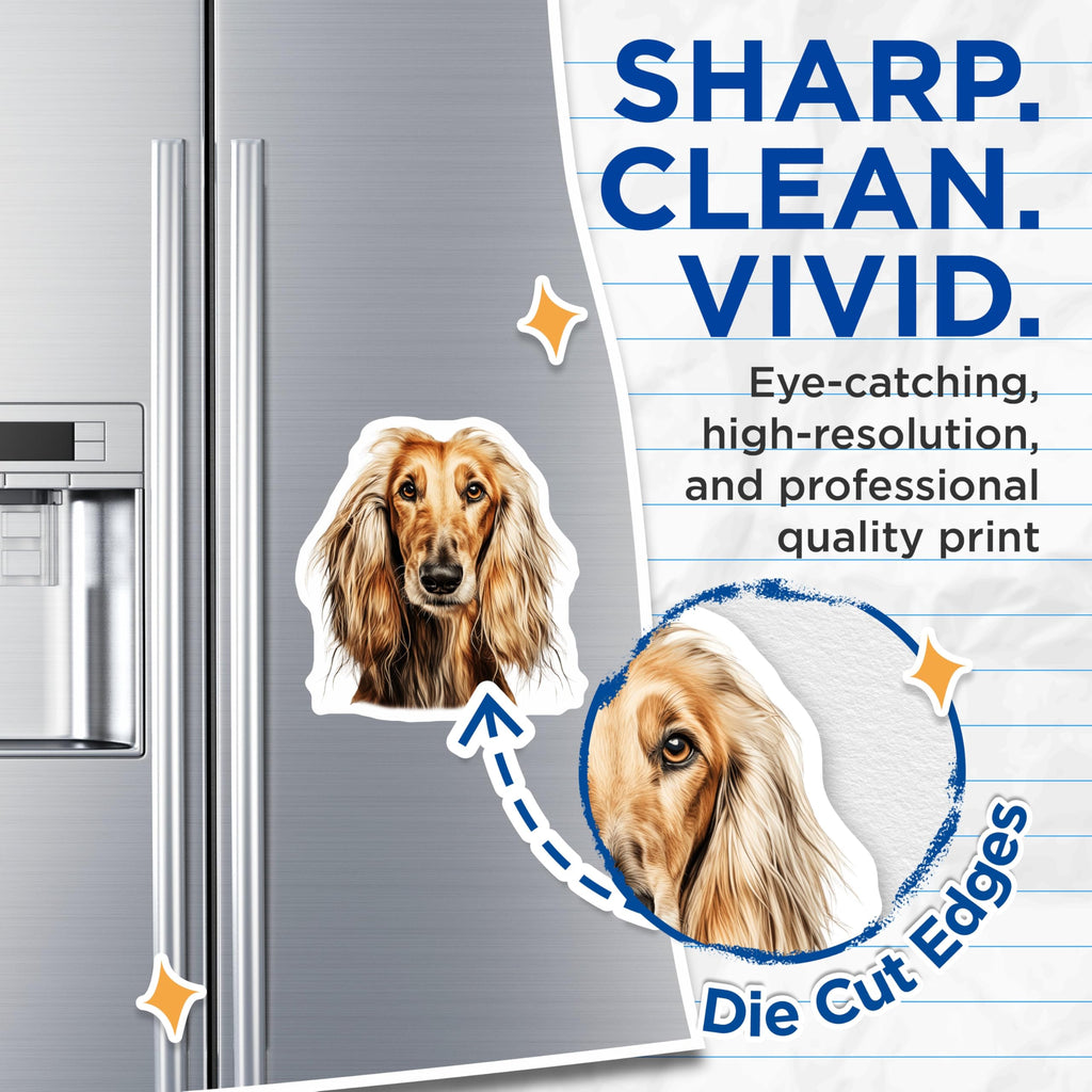 (2 Pack) Afghan Hound Dog Magnets - Elegant Pet Lover - Animal Portrait Decor - 5 Inches On Longest Side - Thick Durable Magnet - Made in USA - MAG25256
