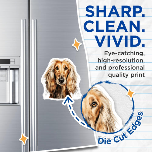 (2 Pack) Afghan Hound Dog Magnets - Elegant Pet Lover - Animal Portrait Decor - 5 Inches On Longest Side - Thick Durable Magnet - Made in USA - MAG25256