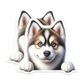 (2 Pack) Husky Dog Magnets - Cute Puppy Decor - Refrigerator Husky Art - 5" On Longest Side - Premium Magnet - for Cars, Refrigerators, Toolboxes, Lockers - Made in USA - MAG15011
