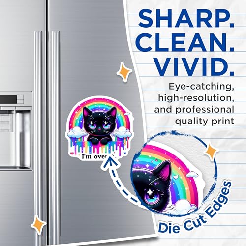 (2 Pack) Cute Black Cat Magnets - Rainbow Cat Magnets - Quirky Cat Art Magnets - I'm Over It Magnets - 5" On Longest Side - for Cars, Fridges, Toolboxes - Made in USA - MAG4583