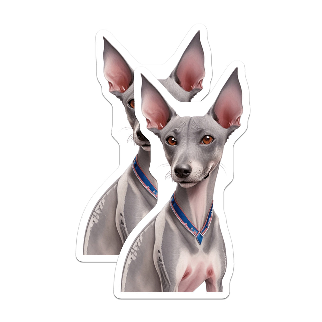 (2 Pack) Italian Greyhound Magnets - Dog Lover Decor - Pet Owner Home Accent - Italian Sighthound Art - 5 Inches On Longest Side - Thick Durable Magnet - Made in USA - MAG38866