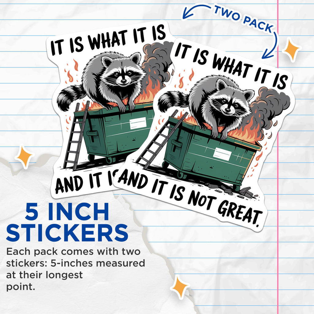 (2 Pack) Raccoon Dumpster Fire Stickers - It is What It is Meme - Trash Panda Sarcasm - Funny Animal Sticker - 5" On Longest Side - Sticks to Smooth Flat Surfaces - Made in USA - BMCS20930