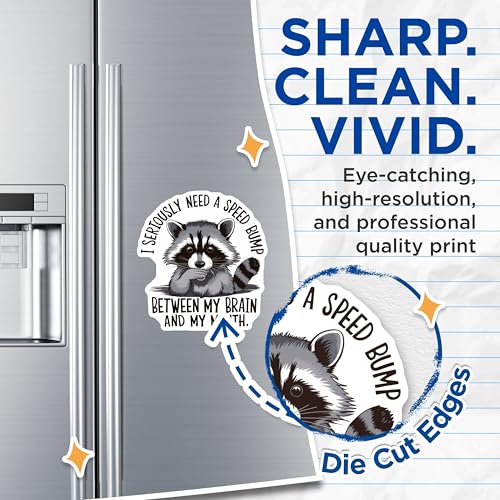 (2 Pack) Raccoon Humor Magnets - Funny Animal Theme - Quirky Refrigerator - Cute Kitchen Accessory - 5" On Longest Side - for Cars, Fridges, Toolboxes - Made in USA - MAG4409