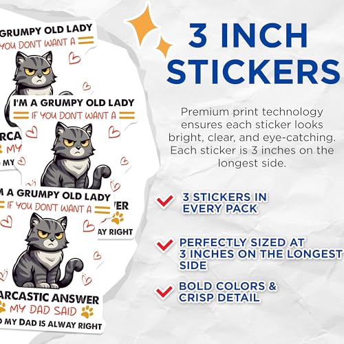 (3 Pack) Grumpy Cat Decals - Sarcastic Humor - Old Lady Joke - 3 Inches On Longest Side - Easy Peel & Apply - Made in USA - 3MCS6113
