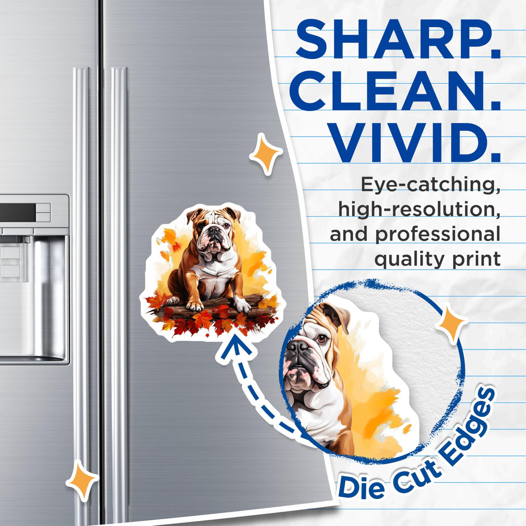 (2 Pack) English Bulldog Magnets - Charming Fall Autumn Dog Art - Pet Lover Refrigerator Accessories - Cute Canine Decor - 5 Inches On Longest Side - Thick Durable Magnet - Made in USA - MAG24700