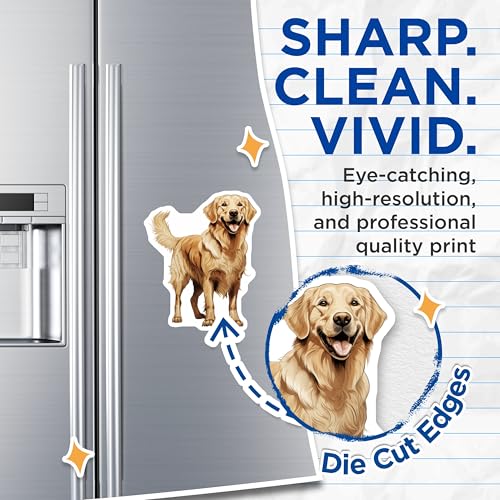 (2 Pack) Happy Golden Retriever Magnets - Canine Companion Fridge - Pet Lover Kitchen Decor - 5 Inches On Longest Side - Thick Durable Magnet - Made in USA - MAG27316