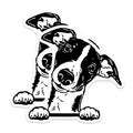 (2 Pack) Cute Dog Stickers - Puppy Stickers - Black and White Dog Stickers - 5" On Longest Side - Sticks to Smooth Flat Surfaces - Made in USA - BMCS4042