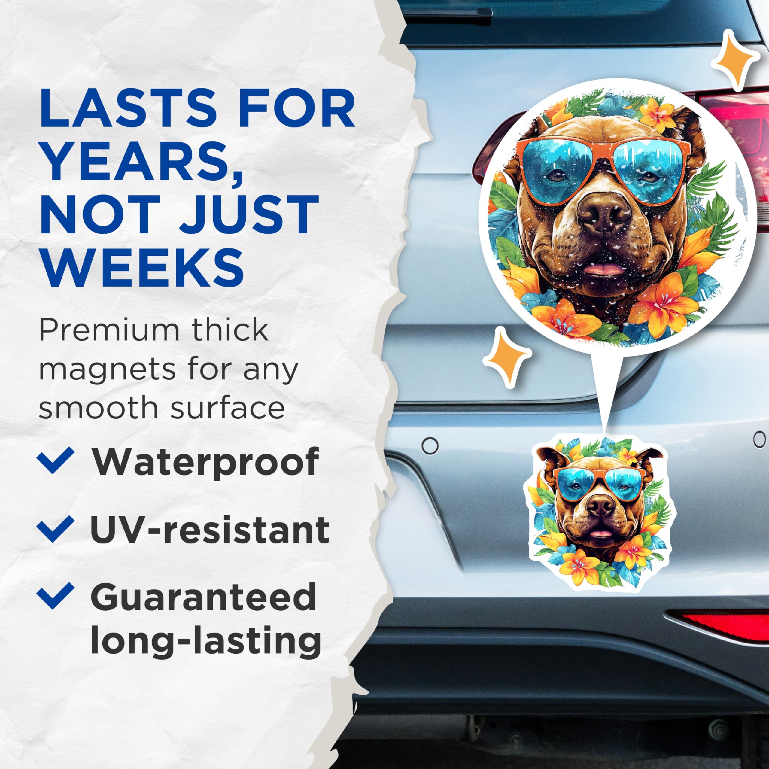 (2 Pack) Pitbull Magnets - Tropical Dog Art - Summer Sunglasses Pitbull - Hawaiian Vibe Pet Decor - Fridge Locker Accent - 5 Inches On Longest Side - Thick Durable Magnet - Made in USA - MAG23061