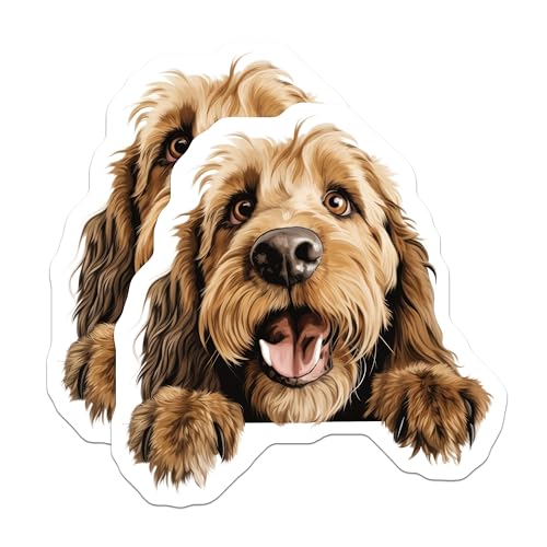 (2 Pack) Funny Pet Decor Magnet - Dog Owner Gifts - Home Decoration - 5" On Longest Side - Sticks to Smooth Flat Surfaces - Made in USA - MAG10241