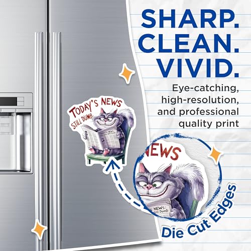 (2 Pack) Funny Cat Reading Newspaper Magnets Magnets - Cute Cat Lover Decor - 5" On Longest Side - Made in USA - Sticks to Refrigerators & Metal Surfaces - MAG8552