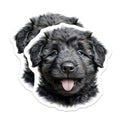 (2 Pack) Black Fluffy Puppy Magnets - Adorable Dog Lover Kitchen Decor - Pet Animal Fridge Locker Refrigerator Accents - 5 Inches On Longest Side - Thick Durable Magnet - Made in USA - MAG23851