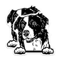 (2 Pack) Border Collie Dog Magnets - Dog Lover - Pet Themed Fridge Magnets - 5" On Longest Side - for Cars, Fridges, Toolboxes - Made in USA - MAG4046