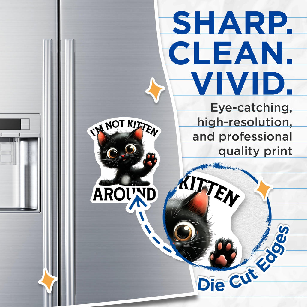(2 Pack) Funny Cat Magnets - Black Kitten - Cute Animal Saying - Refrigerator Magnets - 5" On Longest Side - Premium Magnet - for Cars, Refrigerators, Toolboxes, Lockers - Made in USA - MAG16005