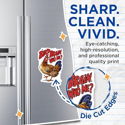 (2 Pack) Bird Brain Who Me Magnets - Chicken Kitchen - Funny Farm Animal Magnets - Humorous Fridge Magnets - 5" On Longest Side - for Cars, Fridges, Toolboxes - Made in USA - MAG4206