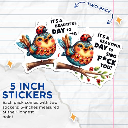 (2 Pack) Beautiful Day Funny Bird Stickers - Motivational Quote Stickers - Cute Animal Humor Stickers - 5" On Longest Side - Sticks to Smooth Flat Surfaces - Made in USA - BMCS5894