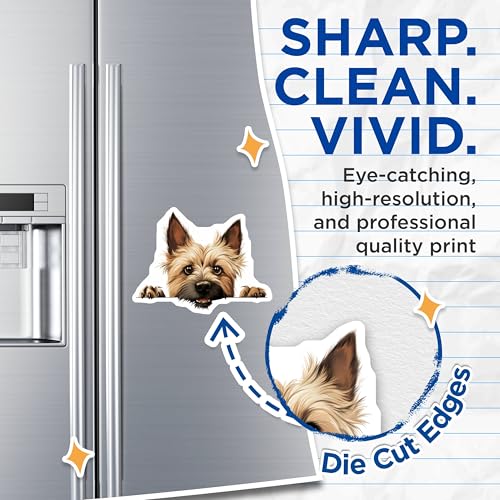 (2 Pack) Animal Lover Decor Magnet - 5" On Longest Side - Sticks to Smooth Flat Surfaces - Made in USA - MAG9896
