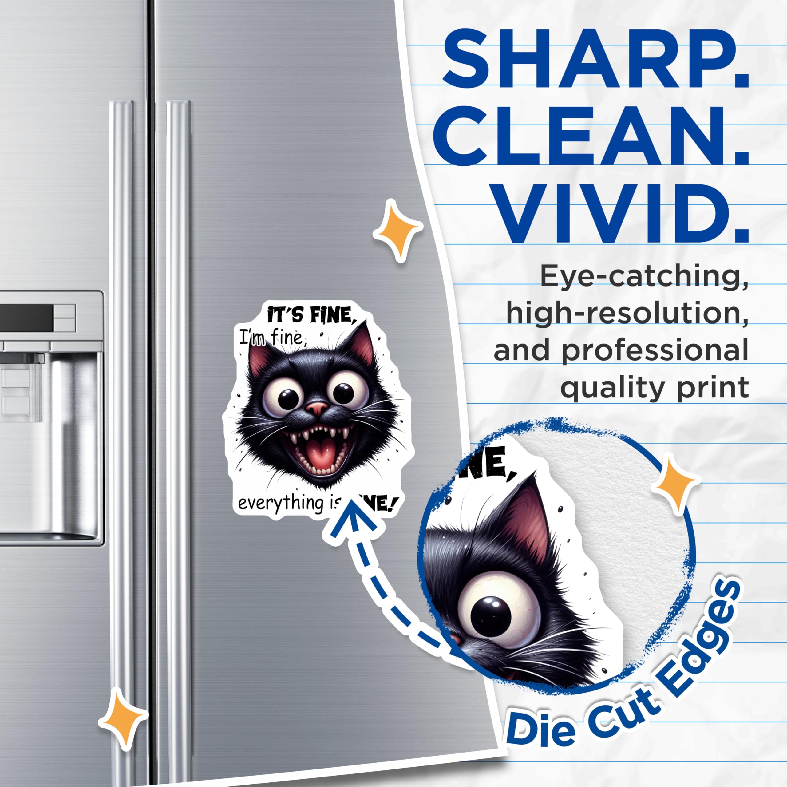(2 Pack) Funny Cat Magnets - Crazy Cat Lady - Sarcastic Black Cat Magnet - 5" On Longest Side - Premium Magnet - for Cars, Refrigerators, Toolboxes, Lockers - Made in USA - MAG14977