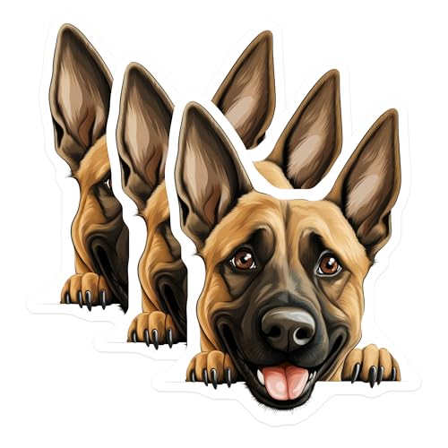 (3 Pack) Belgian Malinois Decals - Dog Breed Decals - Laptop Decal - 3 Inches On Longest Side - Easy Peel & Apply - Made in USA - 3MCS8623