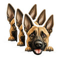 (3 Pack) Belgian Malinois Decals - Dog Breed Decals - Laptop Decal - 3 Inches On Longest Side - Easy Peel & Apply - Made in USA - 3MCS8623