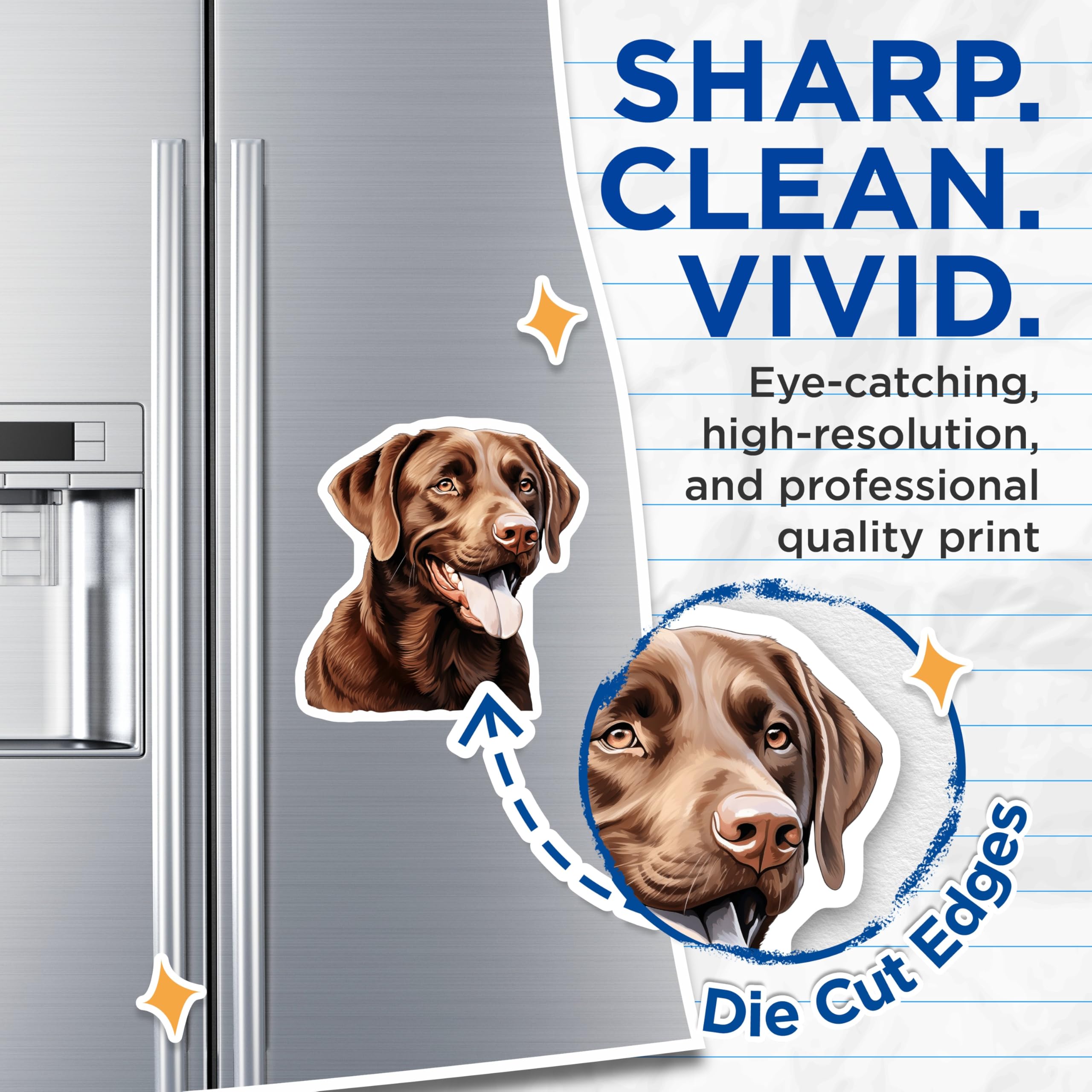(2 Pack) Chocolate Lab Magnets - Labrador Retriever Decor - Dog Lover Refrigerator Art - 5 Inches On Longest Side - Thick Durable Magnet - Made in USA - MAG29197