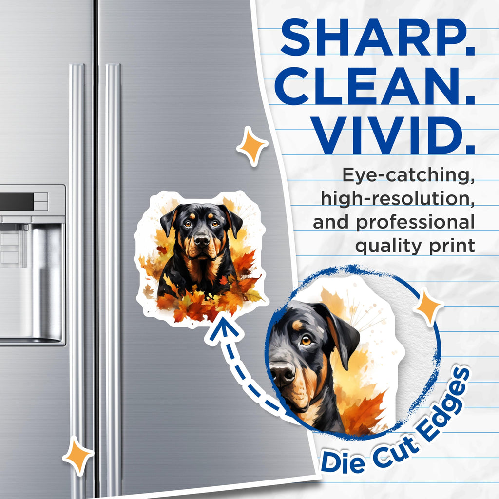 (2 Pack) Rottweiler Magnets - Autumn Dog Decor - Pet Owner Refrigerator Art - 5 Inches On Longest Side - Thick Durable Magnet - Made in USA - MAG25467