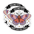 (2 Pack) Witchy Moth Magnets - Feeling Cute Might Hex You Later - Humorous Insect Art - Mystical Creature Refrigerator Decor - 5 Inches On Longest Side - Thick Durable Magnet - Made in USA - MAG22463