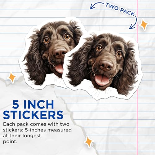 (2 Pack) Dog Lover Stickers - Funny Dog Meme - Cute Pet Stickers - 5" On Longest Side - Sticks to Smooth Flat Surfaces - Made in USA - BMCS9887