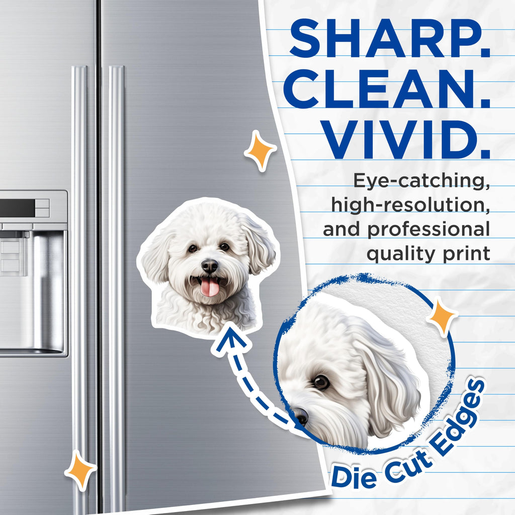 (2 Pack) Bichon Frise Dog Magnets - Cute Fluffy Pet Owner Appliance Decor - Animal Lover Kitchen Art - 5 Inches On Longest Side - Thick Durable Magnet - Made in USA - MAG30239