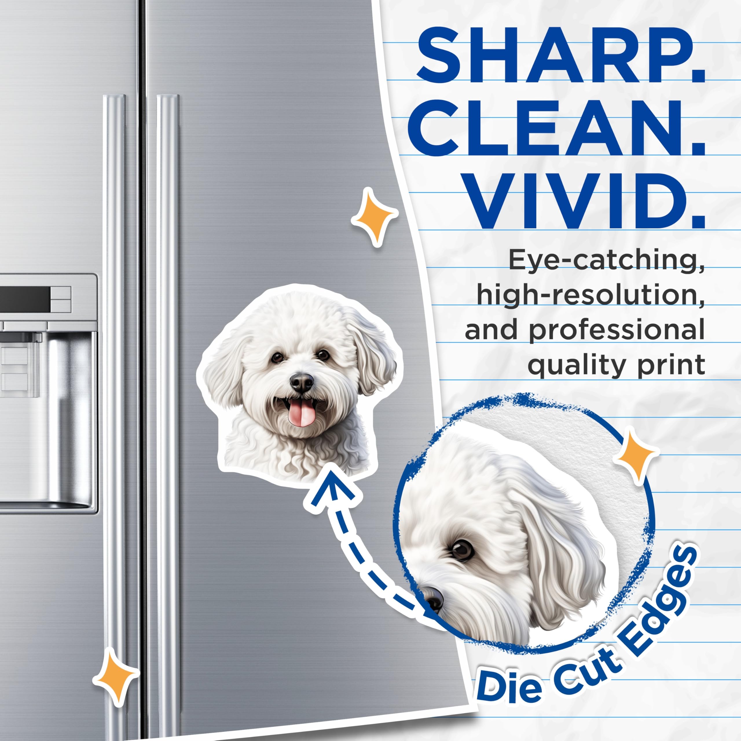 (2 Pack) Bichon Frise Dog Magnets - Cute Fluffy Pet Owner Appliance Decor - Animal Lover Kitchen Art - 5 Inches On Longest Side - Thick Durable Magnet - Made in USA - MAG30239