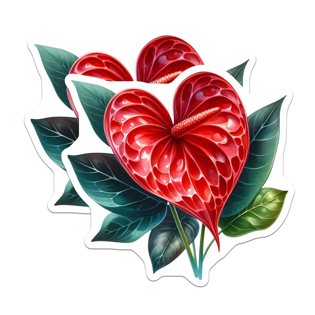 (2 Pack) Anthurium Flower Magnets - Vivid Red Heart Bloom - Exotic Tropical Plant Art - Botanical Kitchen Locker Decor - 5 Inches On Longest Side - Thick Durable Magnet - Made in USA - MAG21058